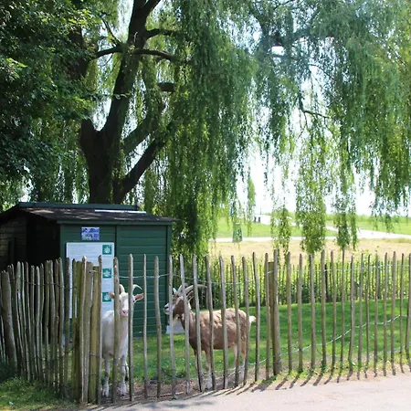 Holiday home In Zevenhuizen With Sauna, Cleaning Included *